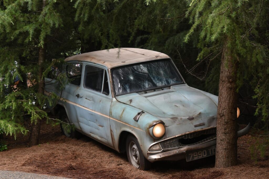 A classic vintage car surrounded by dense forest trees, evoking mystery and nostalgia.